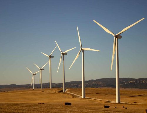 Wind Energy’s Rise in US Electricity Generation and the Importance of Energy Procurement Services for Businesses